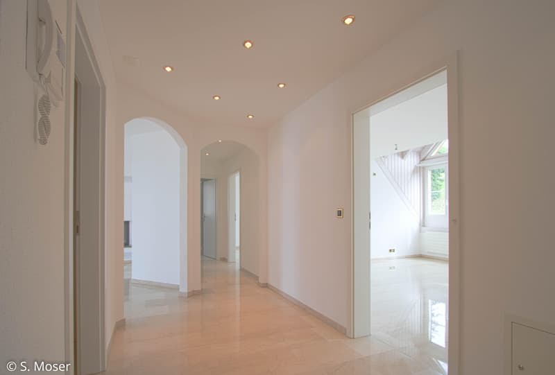 Appartement entretenu avec cheminée et haut confort de vie (4)