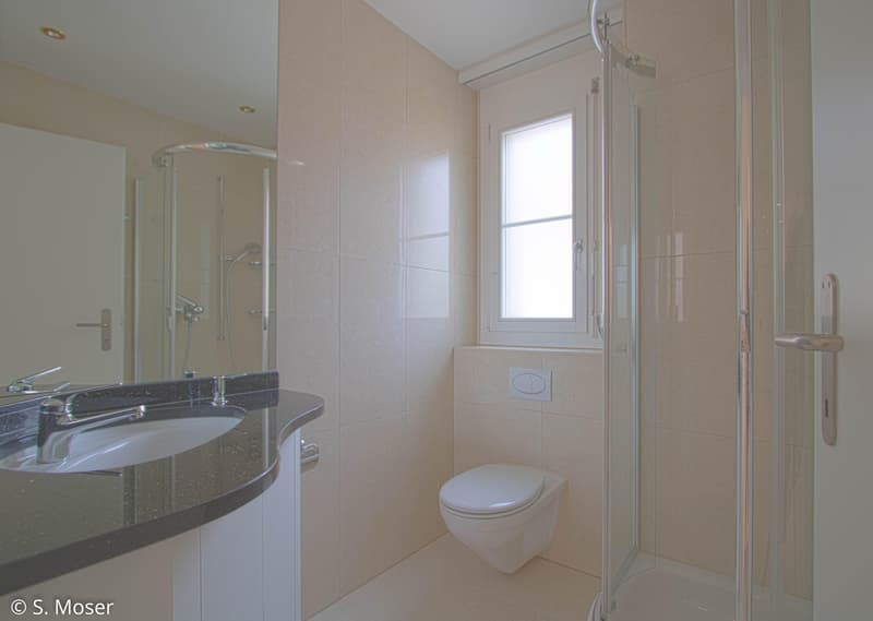 Appartement entretenu avec cheminée et haut confort de vie (7)