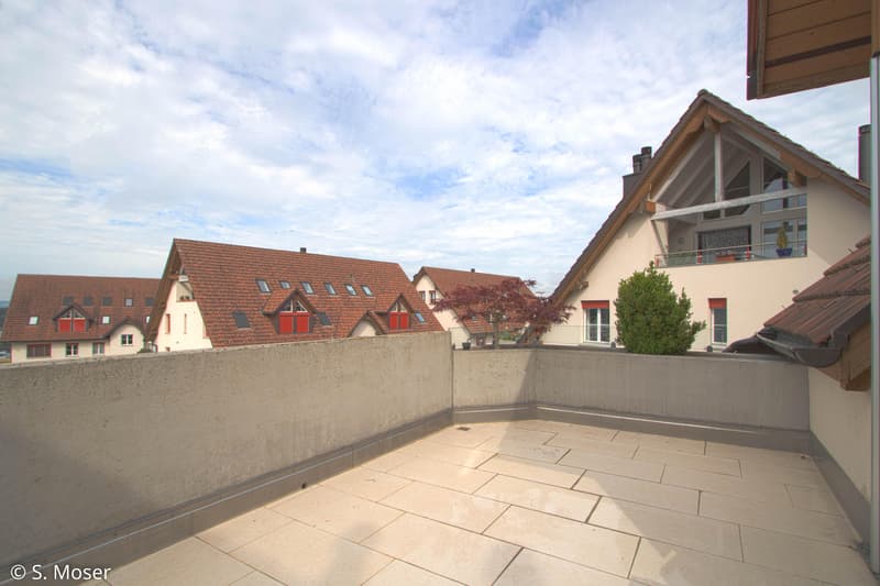 Appartement entretenu avec cheminée et haut confort de vie (10)