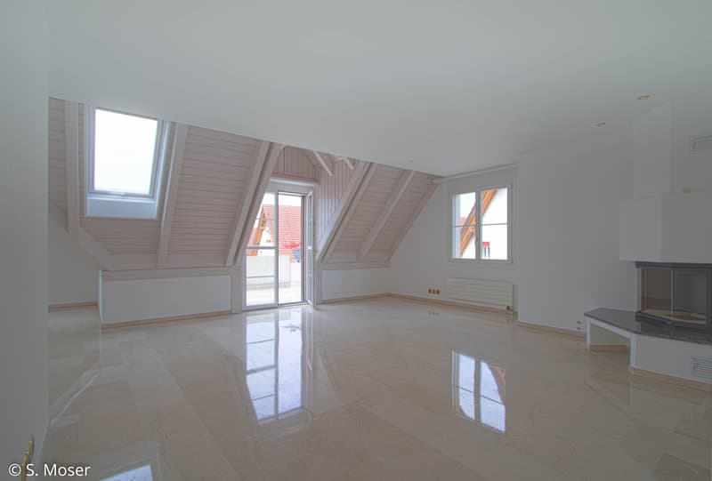 Appartement entretenu avec cheminée et haut confort de vie (1)