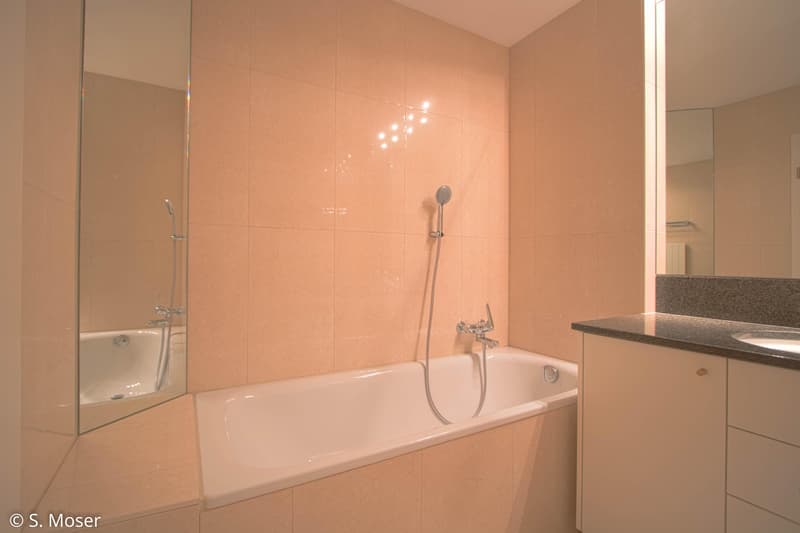 Appartement entretenu avec cheminée et haut confort de vie (8)