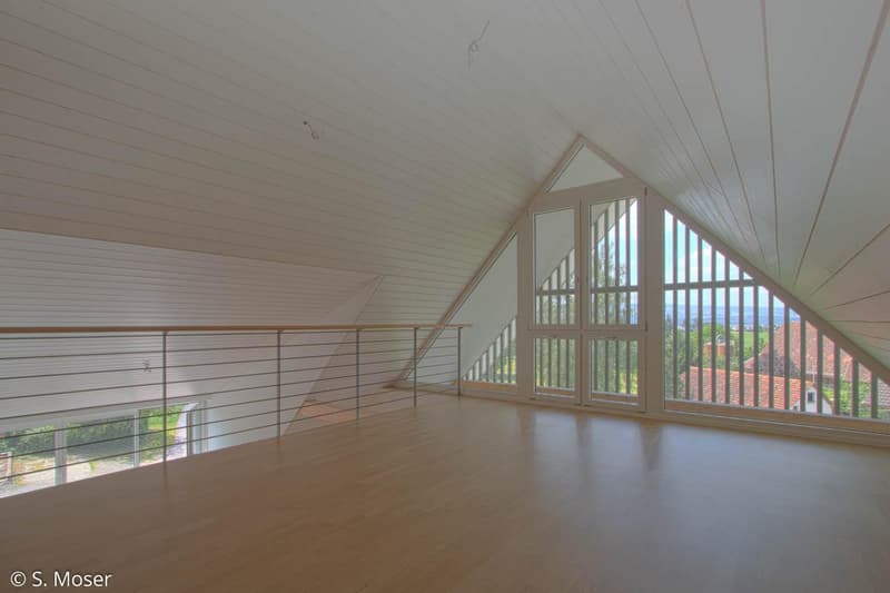 3.0 Zimmer Dachwohnung in naturnaher Lage (4)
