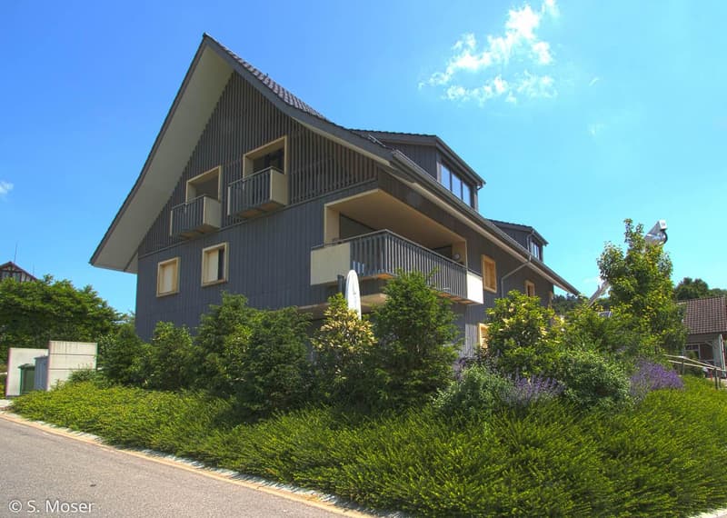 3.0 Zimmer Dachwohnung in naturnaher Lage (11)