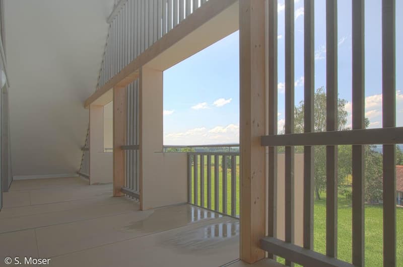 3.0 Zimmer Dachwohnung in naturnaher Lage (9)