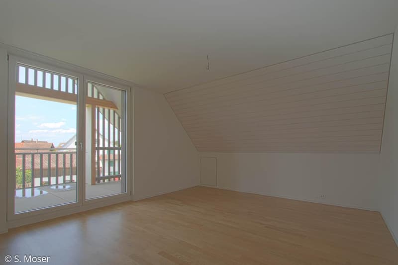 3.0 Zimmer Dachwohnung in naturnaher Lage (3)