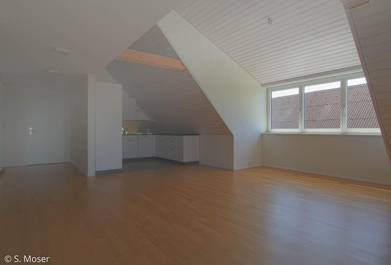 3.0 Zimmer Dachwohnung in naturnaher Lage (8)