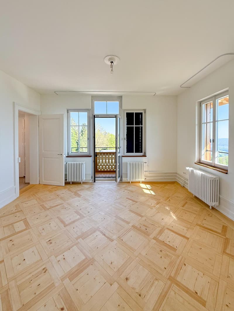 2.5 Zi-Wohnung mit atemberaubender Weitsicht (7)