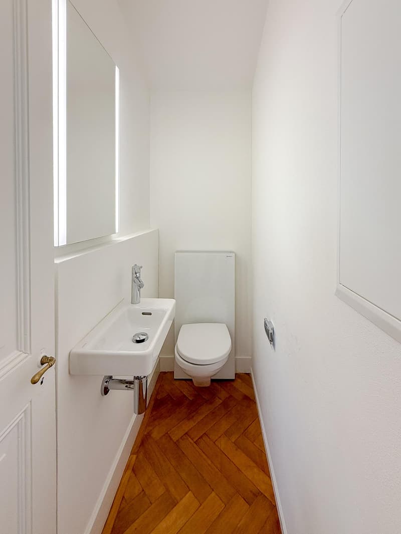 2.5 Zi-Wohnung mit atemberaubender Weitsicht (9)