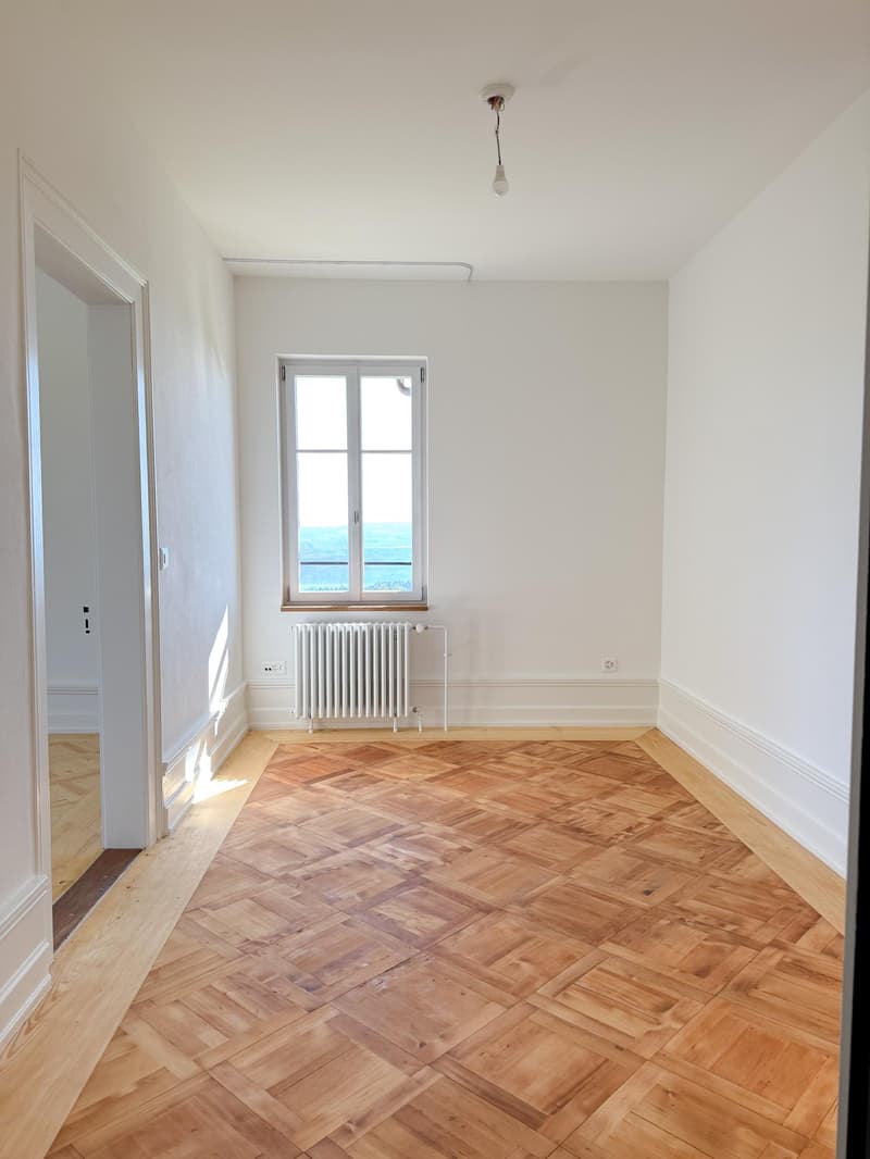 2.5 Zi-Wohnung mit atemberaubender Weitsicht (6)