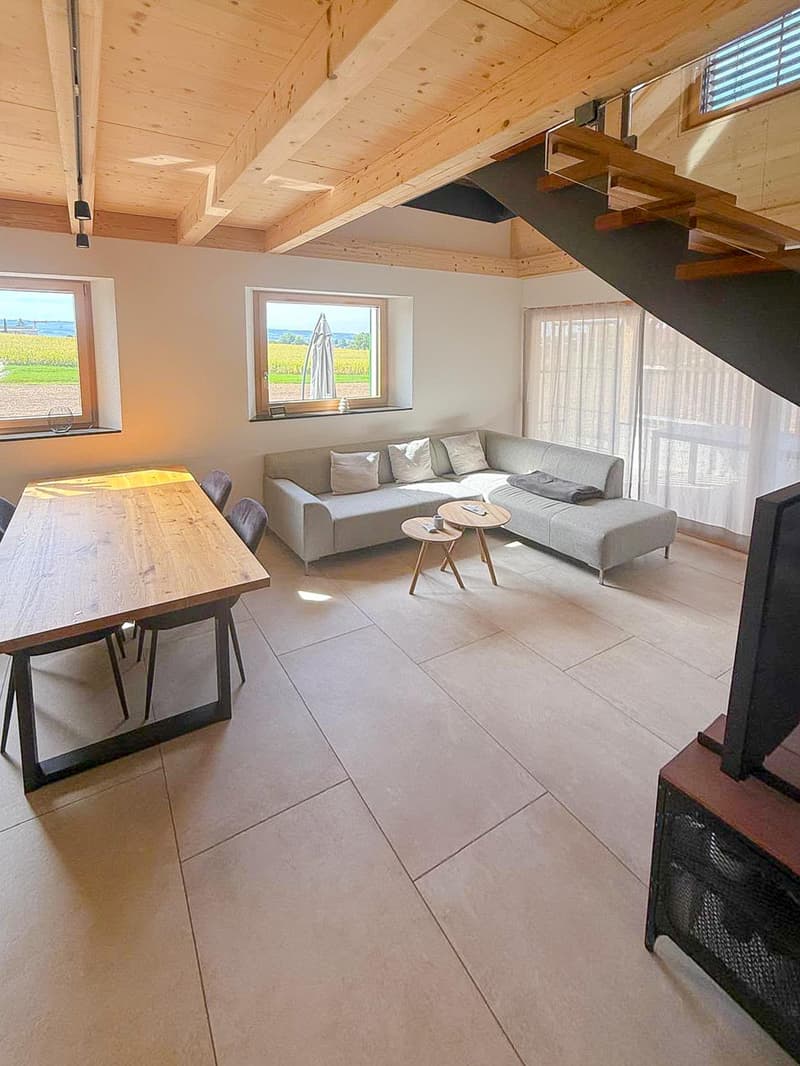 2.5 Zi-Duplex-Wohnung Ex-Milchhuus (3)