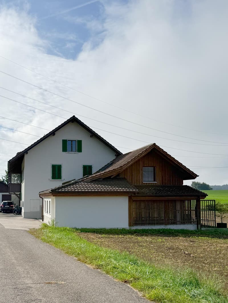 2.5 Zi-Duplex-Wohnung Ex-Milchhuus (13)