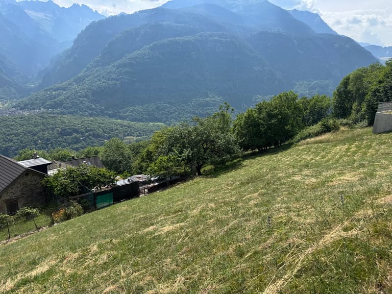 Bauland in ruhiger Lage von Anzonico – 1'188 m² mit schöner Aussicht (3)