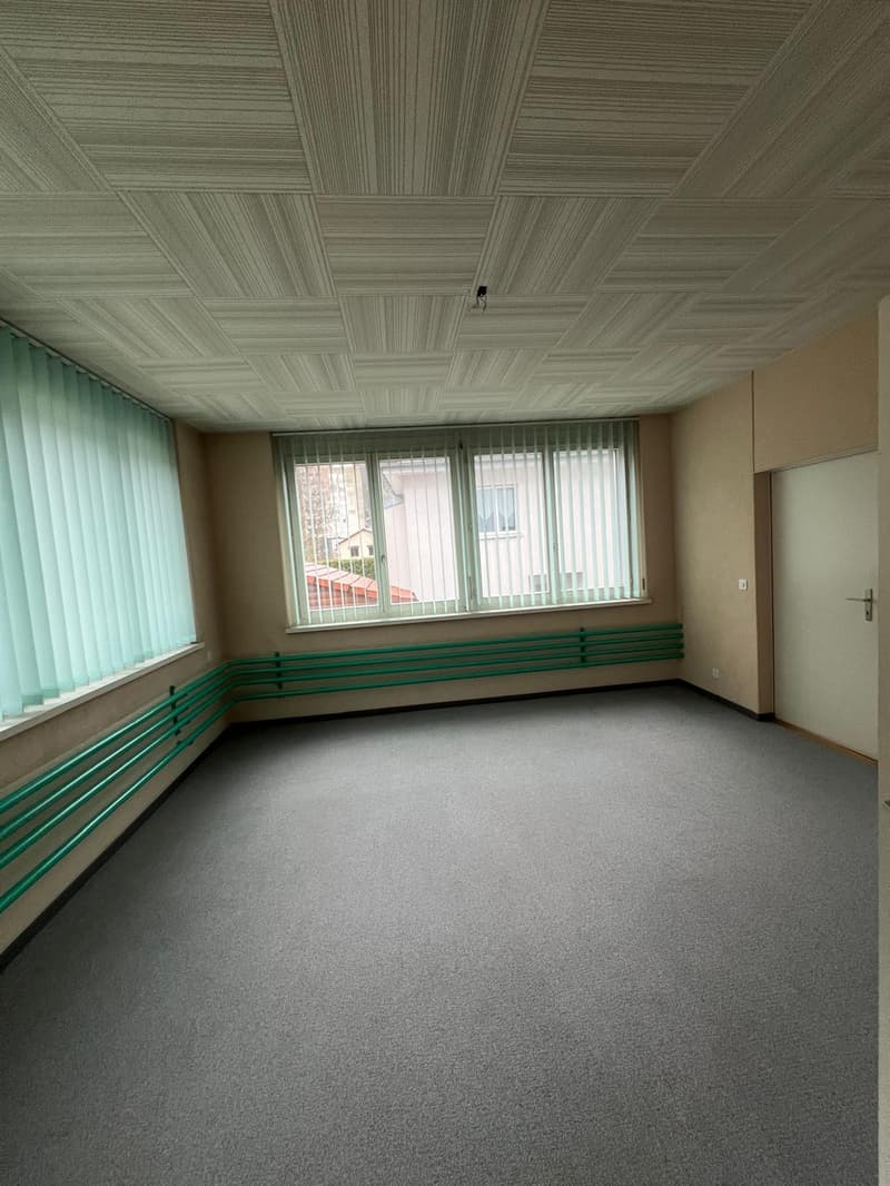 empty room, carpeted floor, windows with horizontal blinds, radiators