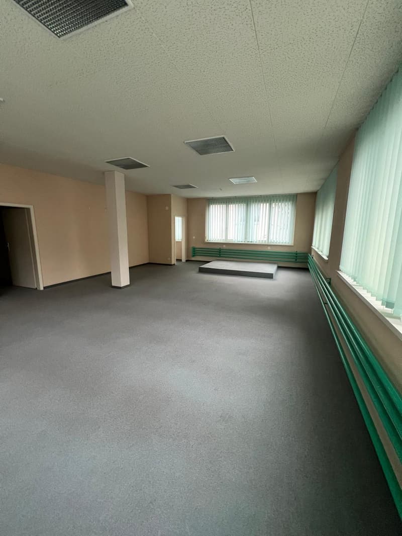 Empty room with grey carpet flooring, beige walls, and green railings along one wall with windows.