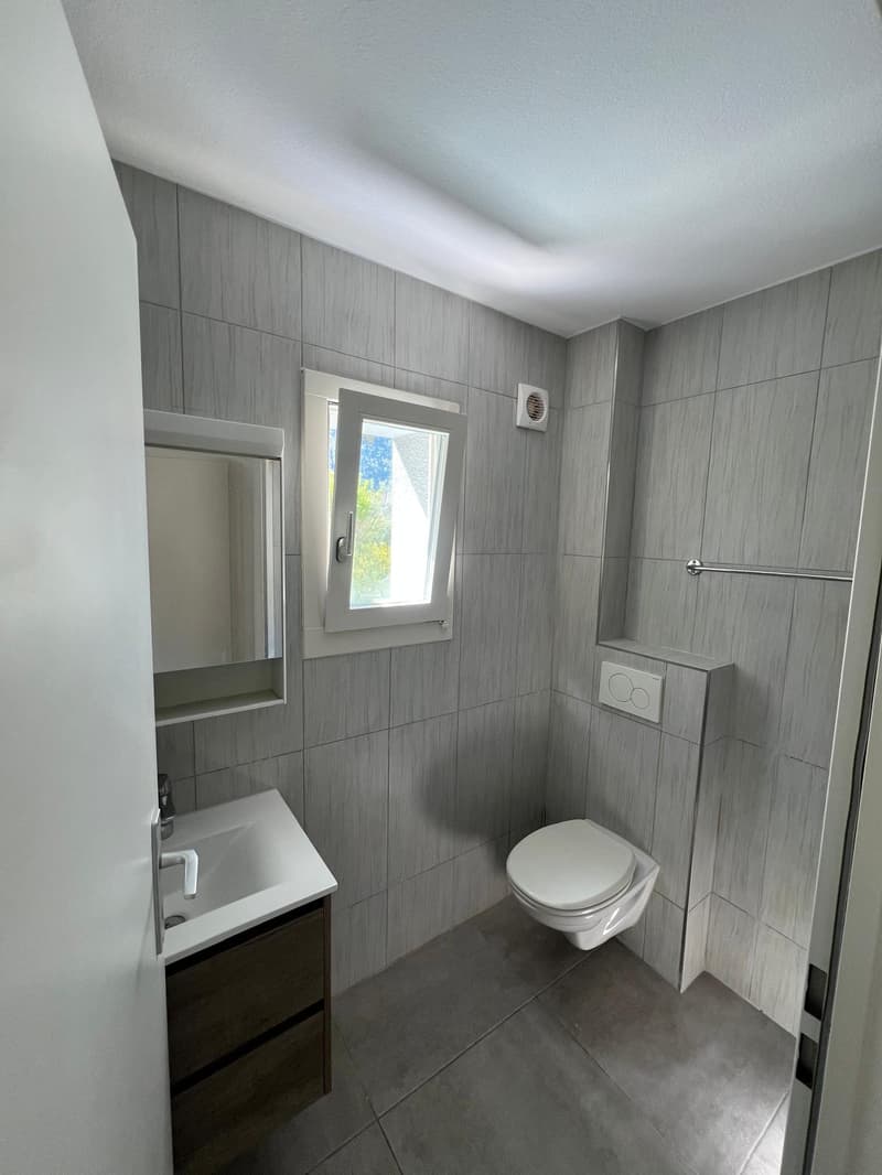 Wunderschöne 3-Zimmer-Wohnung im Herzen von Moutier renoviert (5)