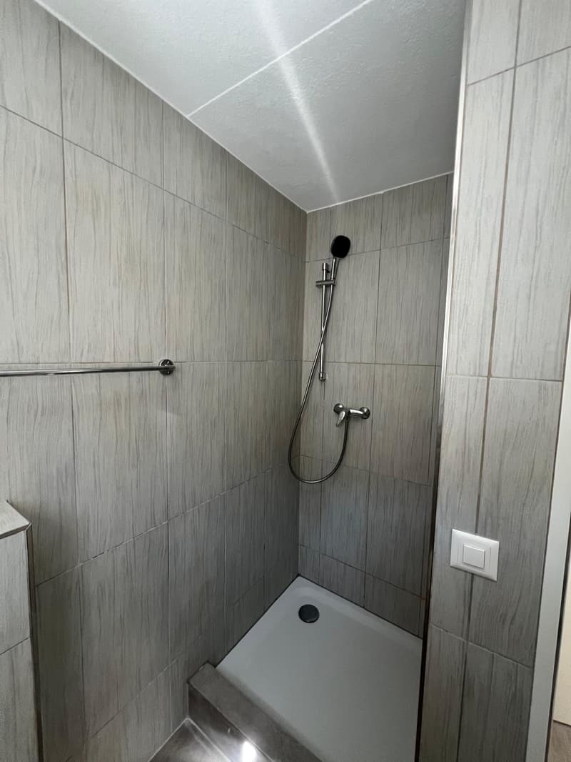 Wunderschöne 3-Zimmer-Wohnung im Herzen von Moutier renoviert (6)