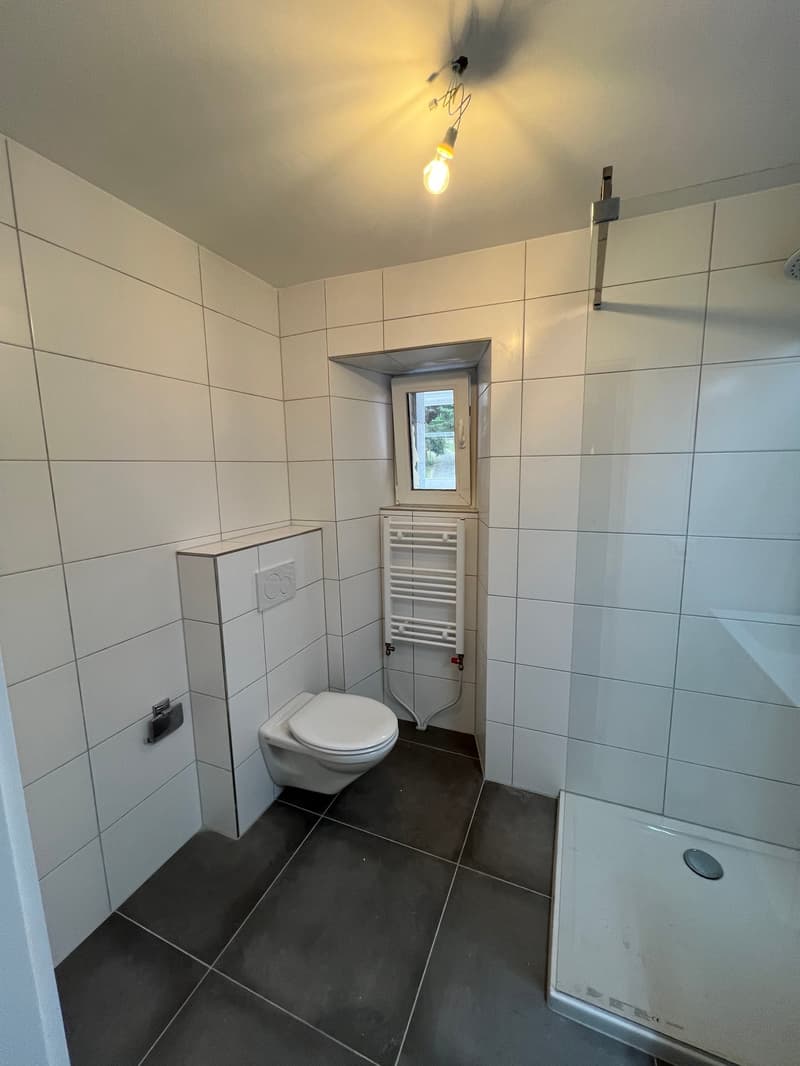Appartement rénové de 3 pièces – CHF 1’050.– charges comprises (6)