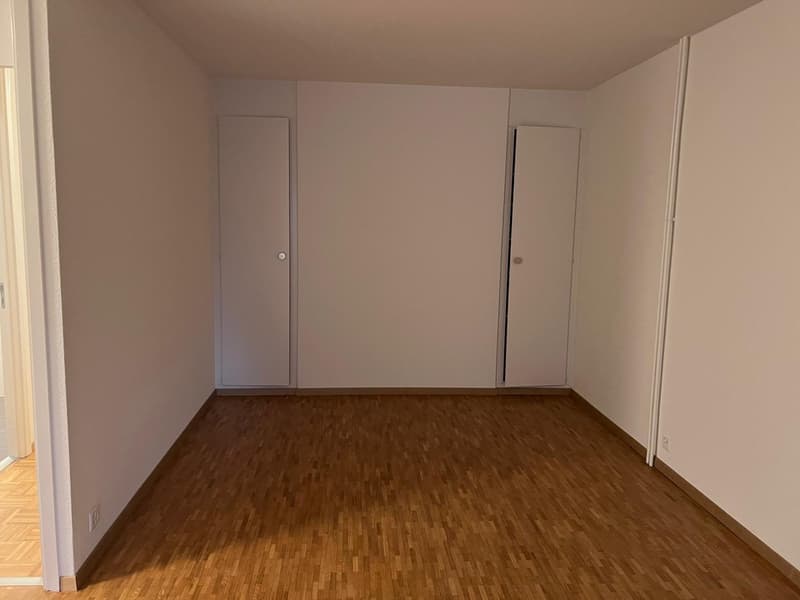 Appartamento di quattro locali con balcone a Châtelaine (3)