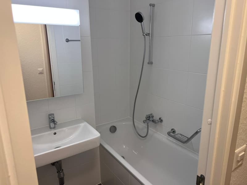 Appartamento di quattro locali con balcone a Châtelaine (4)