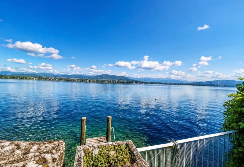 Proprietà eccezionale fronte lago a Coppet (2)