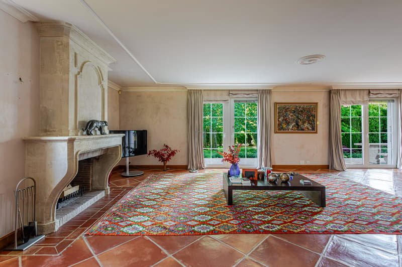Proprietà prestigiosa a Coppet (8)