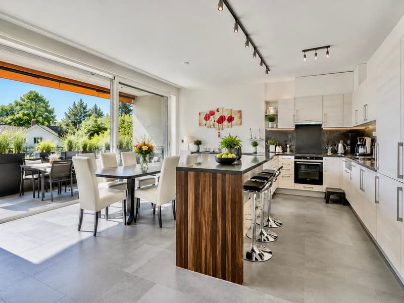 Élégant appartement familial à Chêne-Bourg (1)