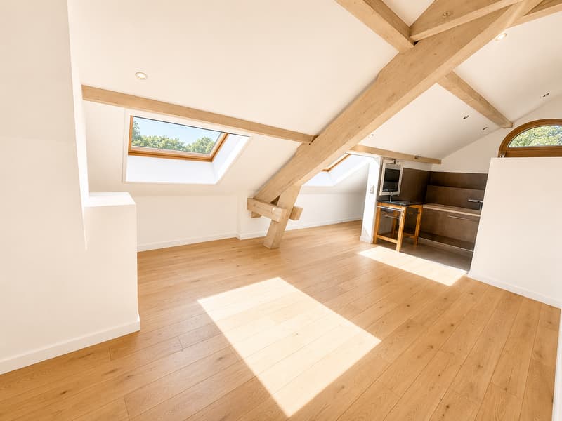 Spacious 10-room apartment with a view and high-end amenities in Choulex (12)