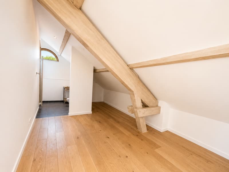 Spacious 10-room apartment with a view and high-end amenities in Choulex (11)