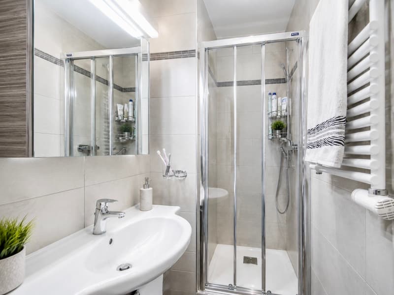 Élégant appartement familial à Chêne-Bourg (5)