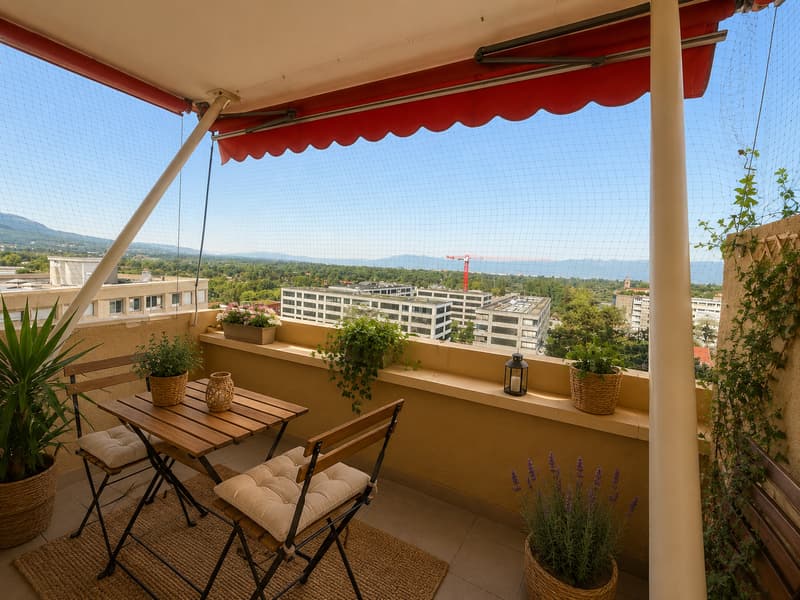 Magnifique appartement situé à Thônex (4)