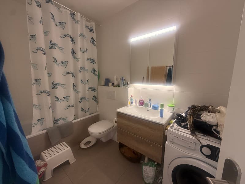 Magnifique appartement situé à Thônex (6)