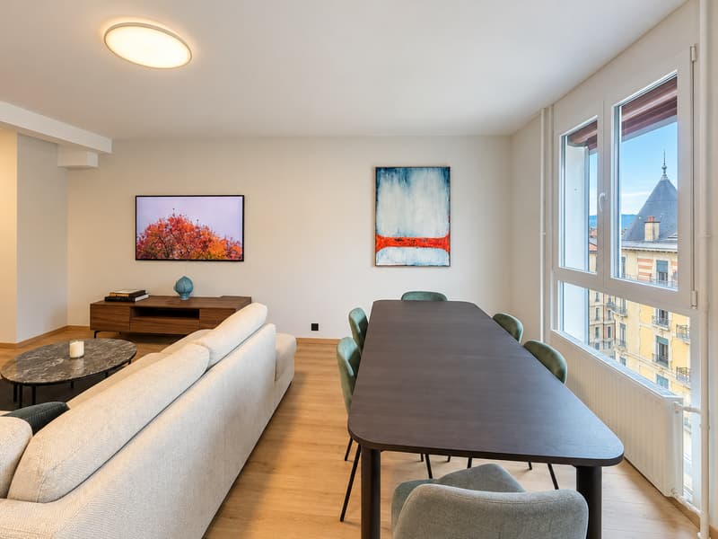Magnifique duplex entièrement rénové au dernier étage (3)