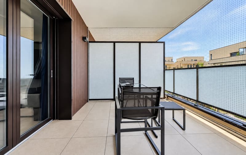 Ferney-Voltaire — Élégant T4 de 84 m² avec terrasse et suite parentale (4)