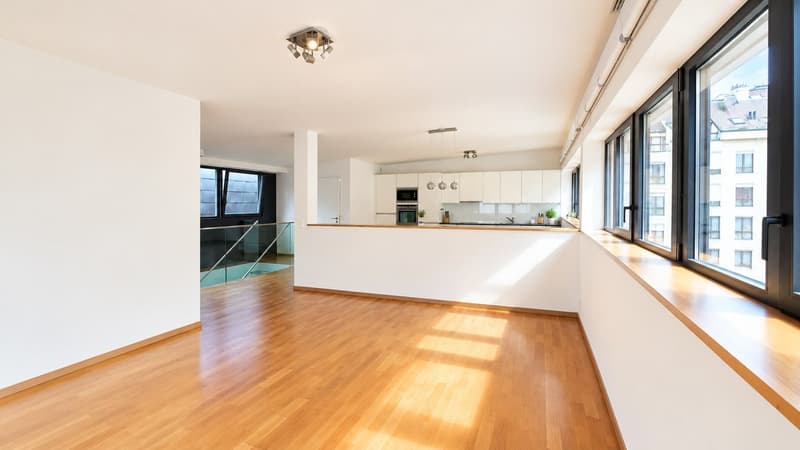 Prestigieux duplex en attique aux Eaux-Vives. (4)