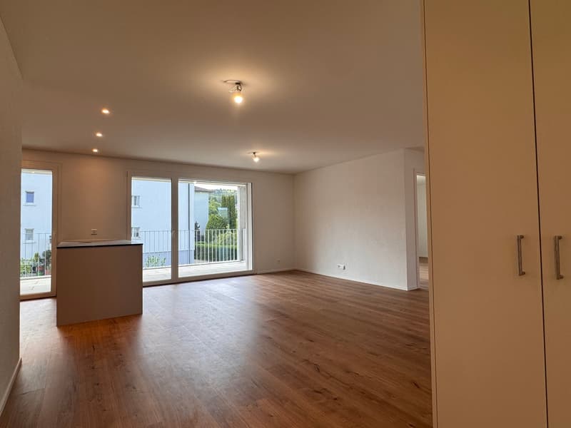 Appartamento 3,5 locali, proprietà con carattere (7)