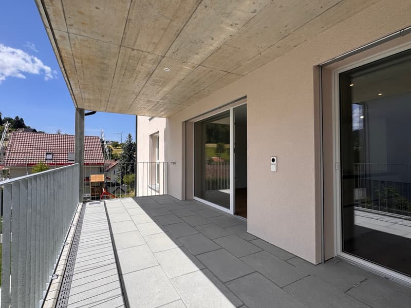 Appartamento 3,5 locali, proprietà con carattere (20)