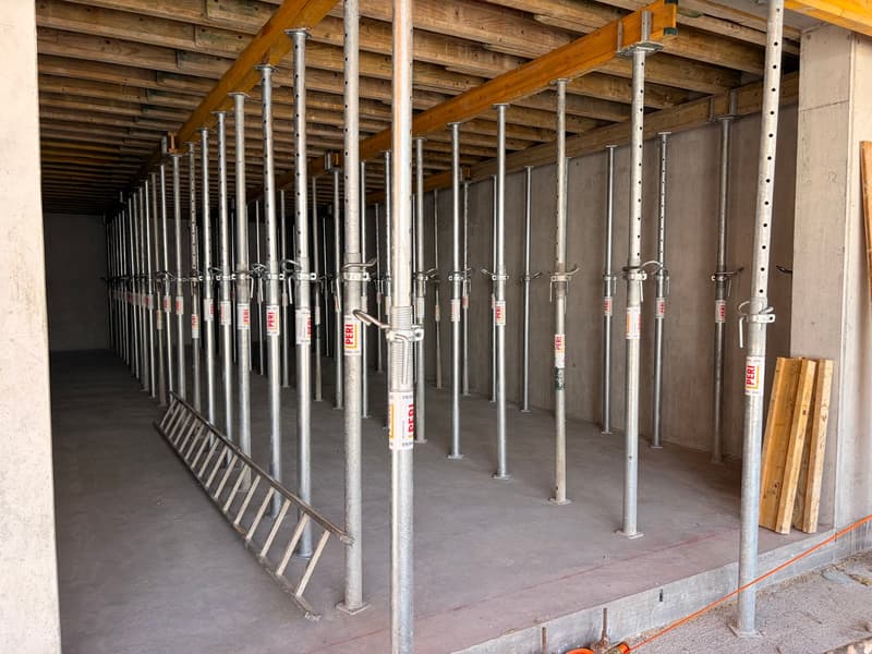 Spazio commerciale in affitto a Egliswil, nuovo parco industriale Neumatt (3)