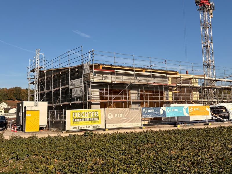 Gewerbefläche zur Miete in Egliswil, Neubau Gewerbepark Neumatt (2)