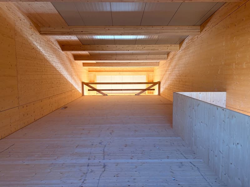 Gewerbefläche zur Miete in Egliswil, Neubau Gewerbepark Neumatt (6)