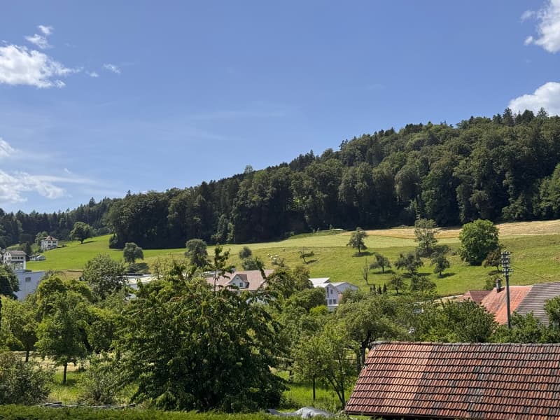 Moderne 3.5-Zimmer-Wohnung im Neubau in Gontenschwil. (20)