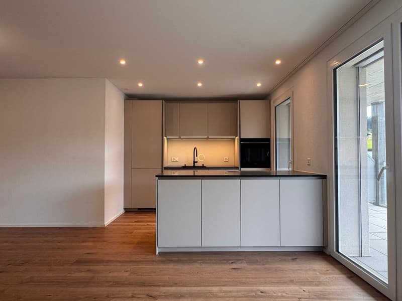 Moderne 3.5-Zimmer-Wohnung im Neubau in Gontenschwil. (1)