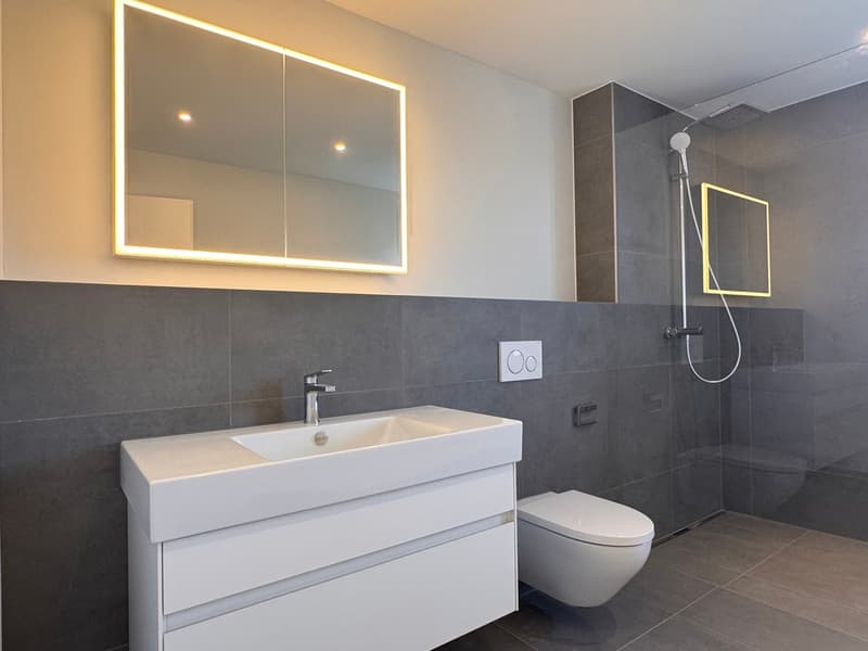 Moderne 3.5-Zimmer-Wohnung im Neubau in Gontenschwil. (10)