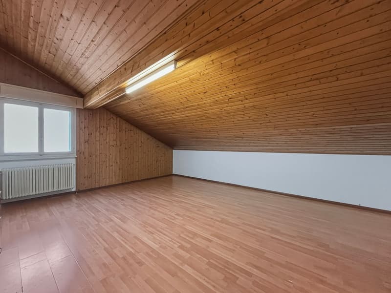 House with great renovation potential (4)