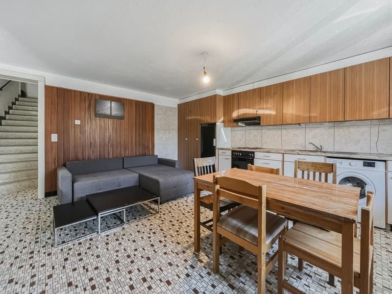 House with great renovation potential (3)