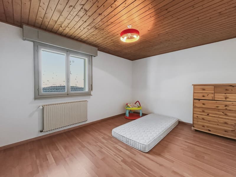 House with great renovation potential (8)
