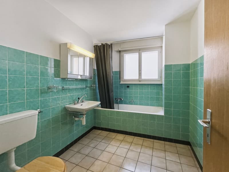 House with great renovation potential (6)