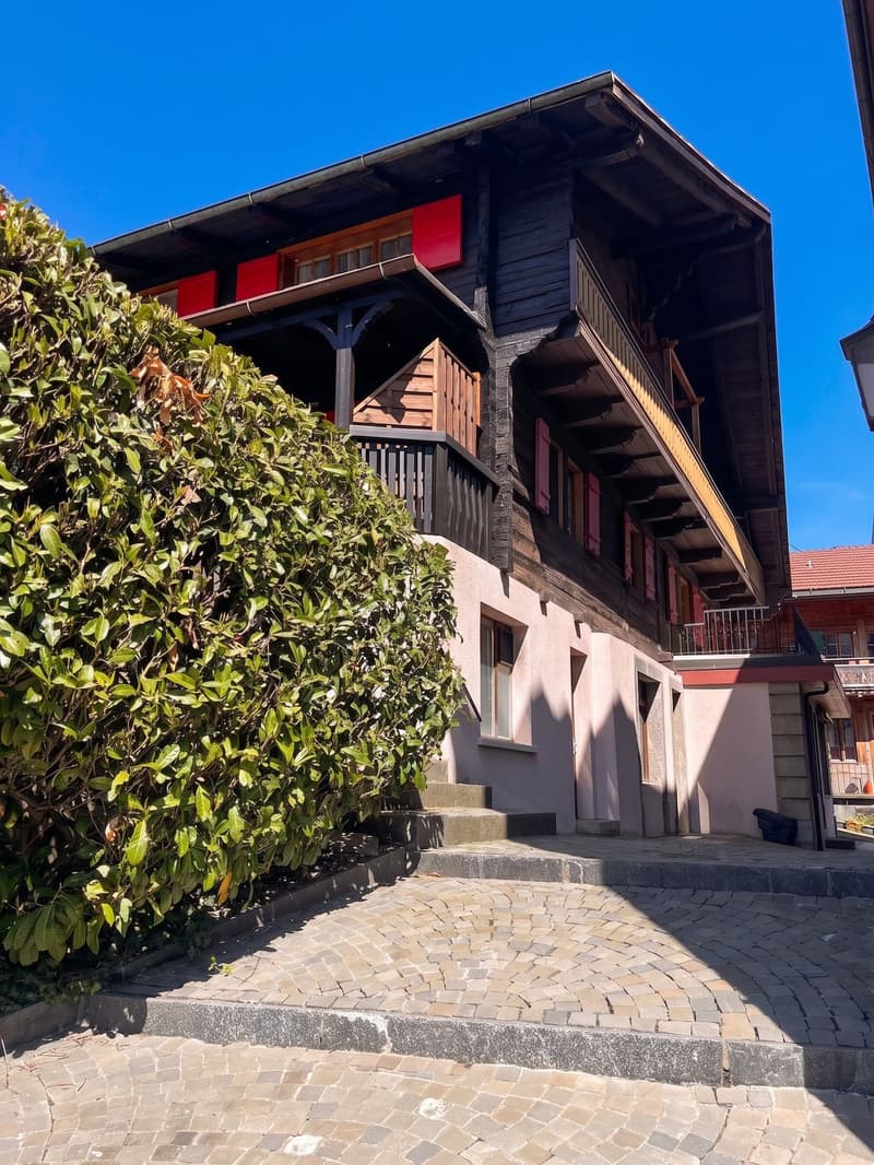 2.5-room apartment with terrace in the heart of the village (7)