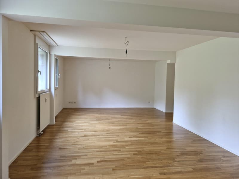 Modern 1.5-room studio near Langen Erlen (2)