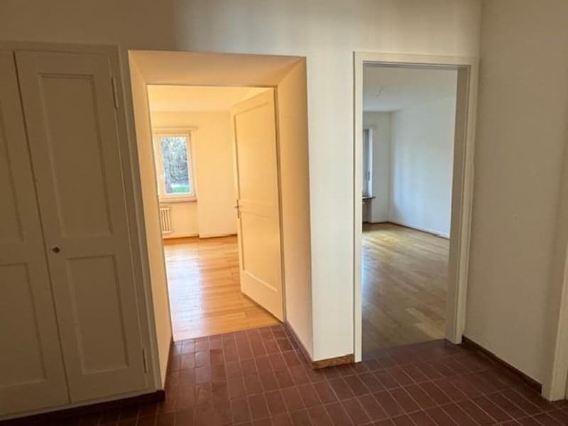 Appartement de 3 pièces dans un immeuble ancien (5)