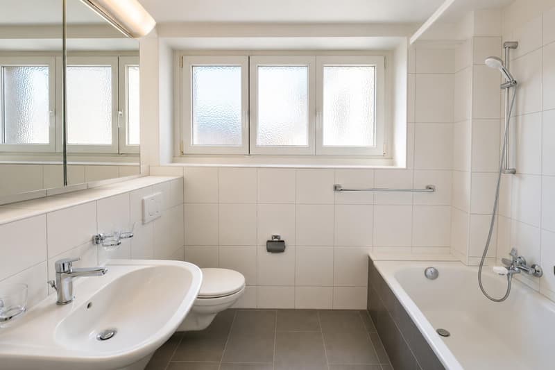 Charmante 3-Zimmerwohnung zu vermieten (6)